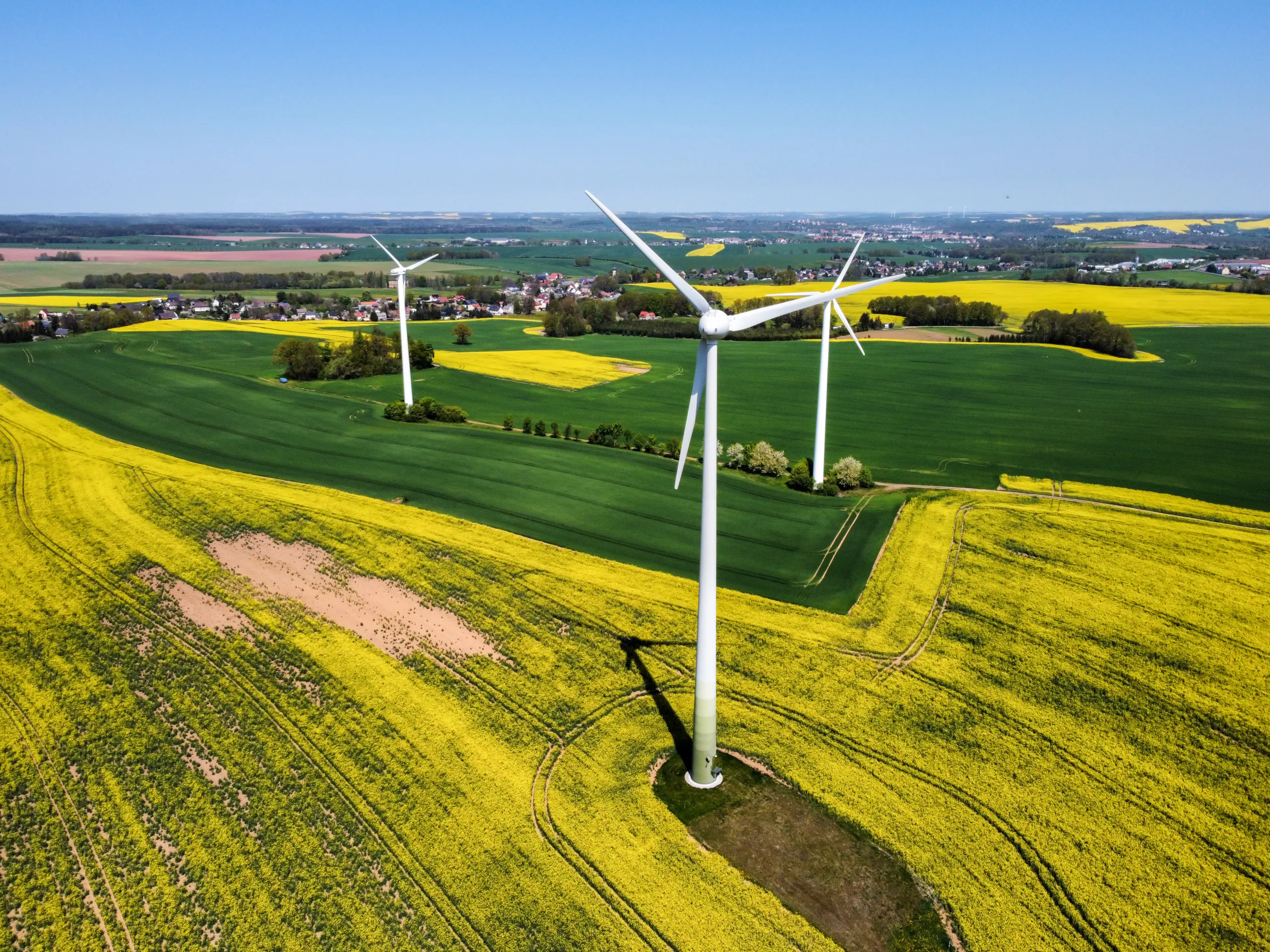 Wind turbine in a blooming field